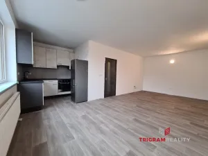 Pronájem bytu 1+kk, Hradec Králové - Pražské Předměstí, Želivského, 39 m2