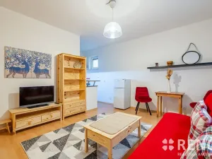 Prodej bytu 1+kk, Brno, Adamcova, 31 m2