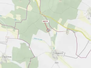 Dražba lesa, Budíškovice, 1580 m2