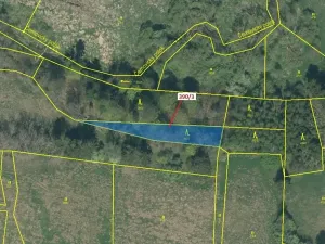 Dražba lesa, Psárov, 1011 m2