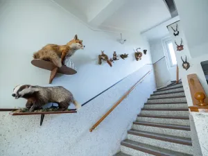 Prodej vícegeneračního domu, Vejprty, 900 m2