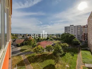 Pronájem bytu 3+1, Mohelnice, Nová, 71 m2