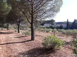 Prodej zemědělské usedlosti, Carsan, Francie, 386 m2