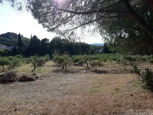 Prodej zemědělské usedlosti, Carsan, Francie, 386 m2