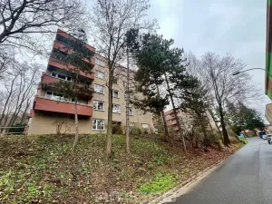 Prodej bytu 2+1, Brno, Podlesí, 53 m2