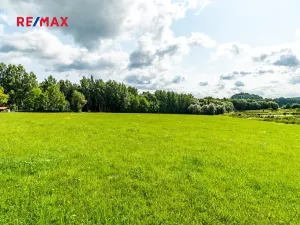 Prodej komerčního pozemku, Nová Pec, 9752 m2