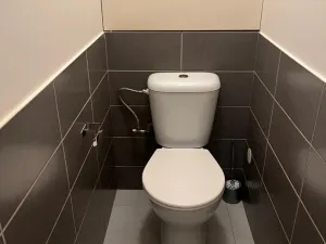 Prodej bytu 2+kk, Libochovice, Revoluční, 40 m2