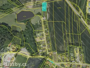Dražba lesa, Chotýšany, 21423 m2