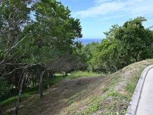 Prodej pozemku pro bydlení, José Santos Guardiola, Honduras, 620 m2