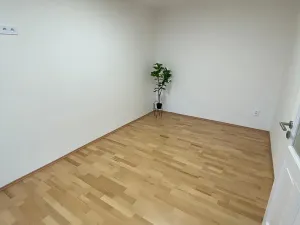 Prodej bytu 2+1, Praha - Staré Město, Náprstkova, 73 m2