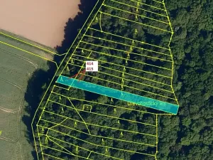 Dražba lesa, Hradčany-Kobeřice, 975 m2