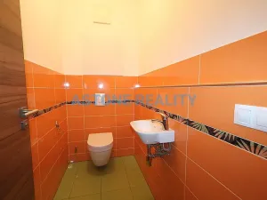 Pronájem bytu 2+kk, Praha - Vysočany, Sousedíkova, 60 m2