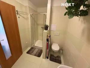 Pronájem bytu 1+1, Mostek, 36 m2