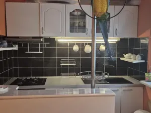 Pronájem bytu 3+1, Česká Lípa, Újezd, 75 m2