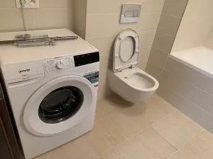 Pronájem bytu 1+kk, Praha - Hloubětín, Laponská, 37 m2