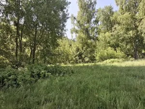 Prodej pozemku, Pomezí nad Ohří, 39941 m2