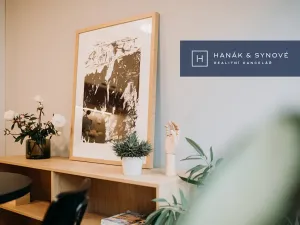 Pronájem bytu 1+kk, Brno, Cejl, 27 m2