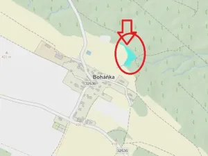 Prodej lesa, Boháňka, 3705 m2