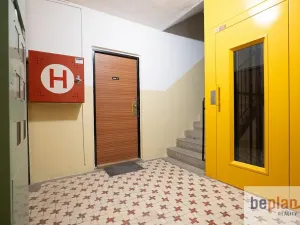 Prodej bytu 2+1, Ústí nad Labem, Jana Zajíce, 55 m2