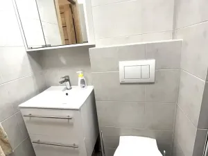 Pronájem bytu 1+1, Olomouc, Heyrovského, 33 m2