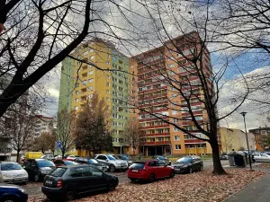 Prodej bytu 3+1, Přerov, Trávník, 62 m2