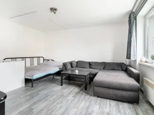 Pronájem bytu 1+1, Chomutov, Grégrova, 42 m2