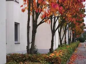 Pronájem bytu 2+kk, Rousínov, Zahradní, 57 m2