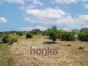 Prodej pozemku pro bydlení, Bavoryně, 1162 m2