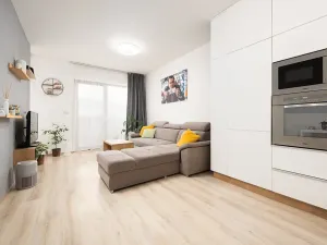 Prodej bytu 1+kk, Brno, Kigginsova, 52 m2