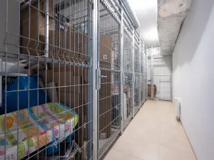 Prodej bytu 1+kk, Brno, Kigginsova, 52 m2