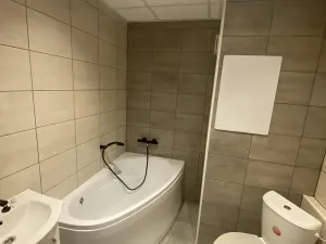 Pronájem bytu 2+kk, Most, Josefa Suka, 42 m2