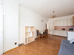 Pronájem bytu 2+kk, Praha, Jugoslávských partyzánů, 50 m2