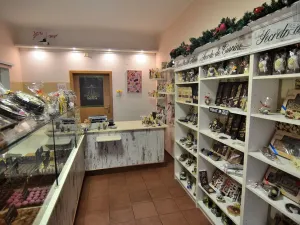 Pronájem obchodního prostoru, Beroun - Beroun-Centrum, Slapská, 68 m2