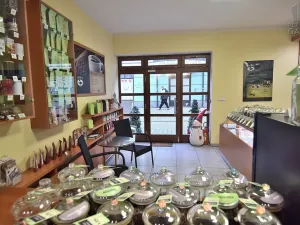 Pronájem obchodního prostoru, Beroun - Beroun-Centrum, Slapská, 68 m2