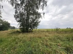 Prodej pozemku pro bydlení, Lučina, 2602 m2