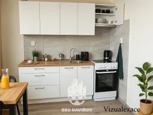 Prodej bytu 1+1, Havířov, Kubelíkova, 37 m2