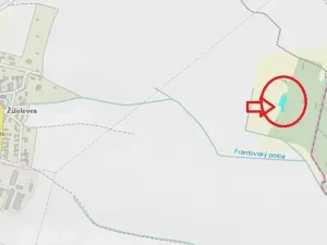 Prodej lesa, Hořiněves, 1080 m2