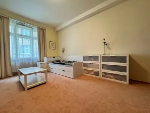 Prodej bytu 2+kk, Praha, Ve Smečkách, 80 m2