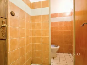 Prodej obchodního prostoru, Ústí nad Labem, Pod Parkem, 85 m2