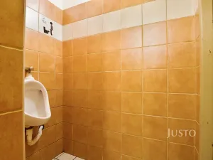 Prodej obchodního prostoru, Ústí nad Labem, Pod Parkem, 85 m2