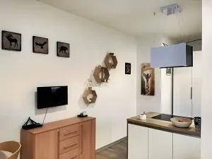 Prodej bytu 1+kk, Hustopeče, Mrštíkova, 50 m2