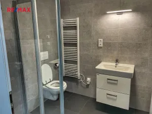 Pronájem bytu 3+kk, Smiřice, 101 m2