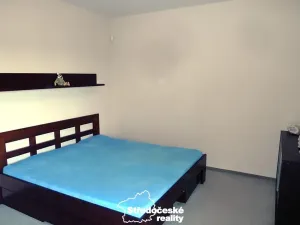 Pronájem bytu 4+kk, Praha - Suchdol, Holubí, 234 m2