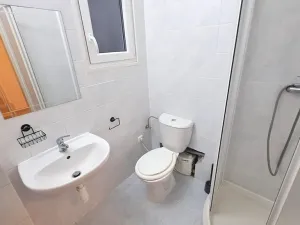 Pronájem bytu 1+kk, Praha - Braník, Pod vinohradem, 27 m2