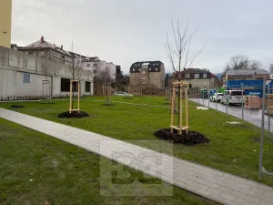 Pronájem bytu 2+kk, Liberec, Tovární, 66 m2