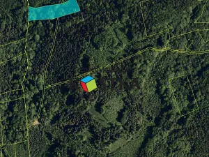 Prodej lesa, Ženklava, 21563 m2