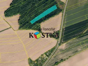 Prodej lesa, Brušperk, Fryčovická, 6710 m2