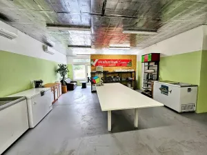 Prodej rodinného domu, Svatoňovice, 128 m2