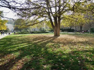 Pronájem bytu 3+1, Brno, Údolní, 106 m2