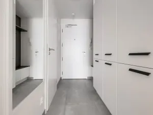 Pronájem bytu 1+kk, Praha - Vysočany, Hindlova, 30 m2